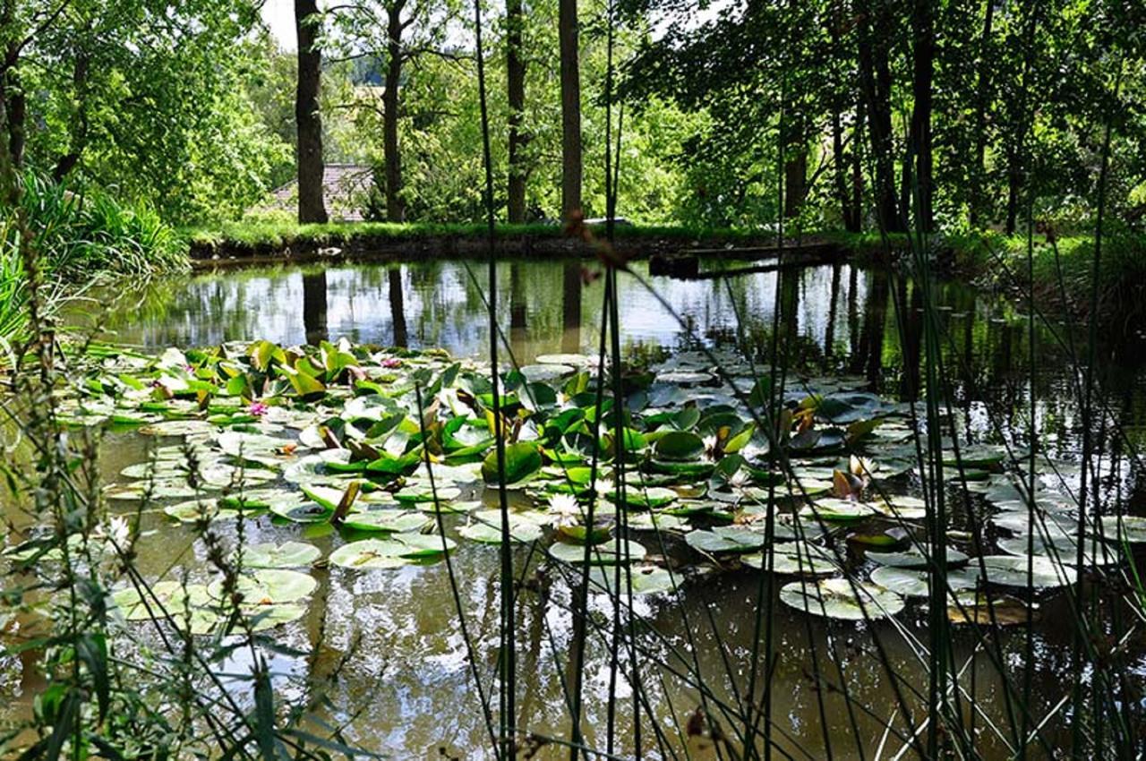 Landhausgarten Bunzmann Berg  Exteriér fotografie